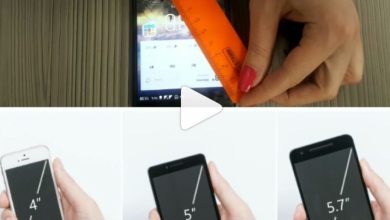 Photo of Понимание важности правильного размера чехла