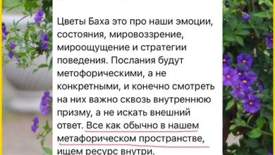 Photo of Почему стоит посмотрите здесь для получения актуальной информации